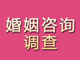 磐安婚姻咨询调查